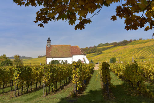 Wolxheim,  La-chapelle-Saint-Denis    JEC2706
