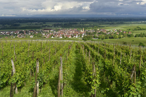 Eguisheim   JEB2676b