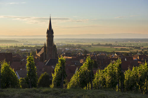 Dambach-la-Ville   JEC5614