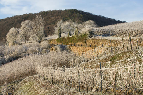 Gueberschwihr 2   JEC3921