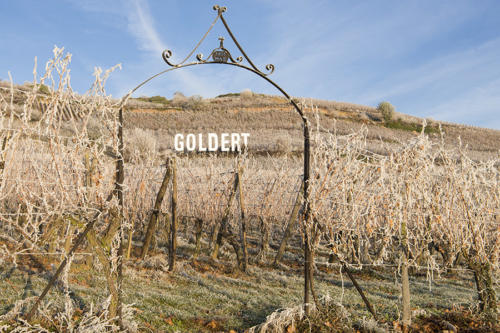 Gueberschwihr,  Grand-Cru-Goldert   JEC3932b