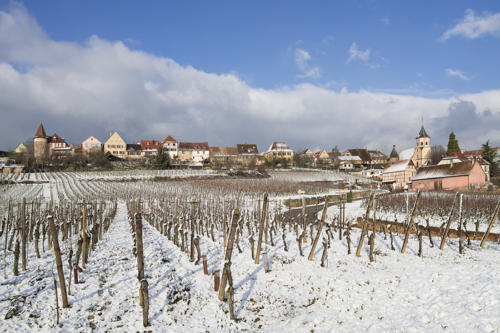 Zellenberg   JEA6840