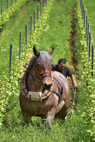 Eric-Altermatt 1   JEB2212b