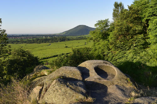 Dieffenthal, cupules-de-sacrifice    JEB5642