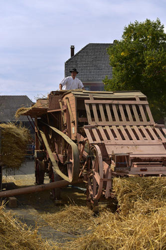 Roderen, battage-sur-la-place-du-village   JEC0515