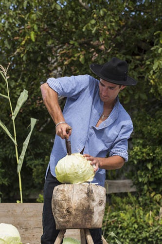 Récolte-du-chou-à-choucroute    JEC0552