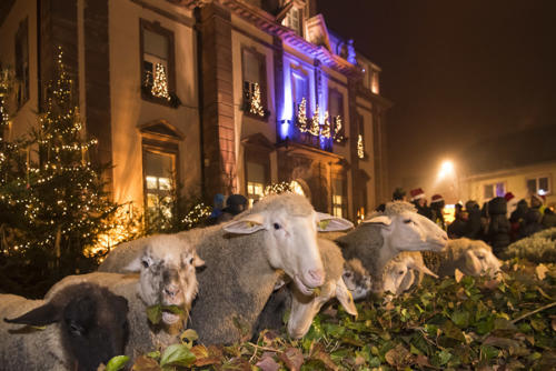 Noël-à-Soultzmatt   JEC4328d