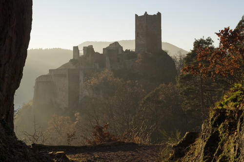 Château-de-Saint-Ulrich-à-Ribeauvillé   JEC4984