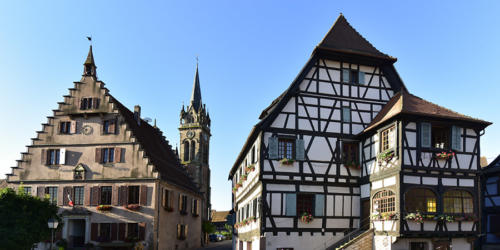 Dambach-la-Ville   JEB5681