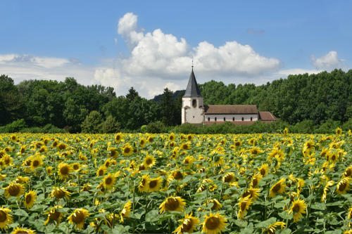Dompeter-à-Avolsheim   JEB6111