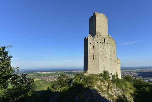 L'Ortenbourg-à-Scherrwiller   JEB5550