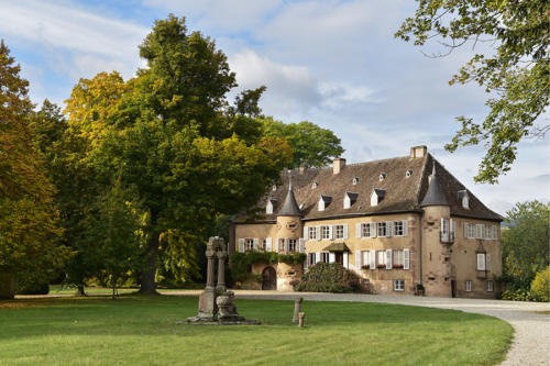 Le-château-d'Ittenwiller   JEC2064-CH