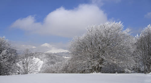 Au-loin-le-Grand-Ballon   JEA0066