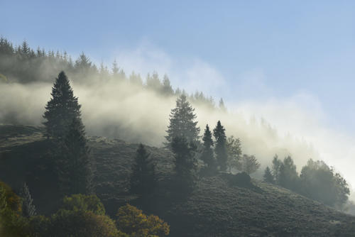 Sur-les-hauteurs-de-Fouday-vallée-de-la-bruche   JEC2312
