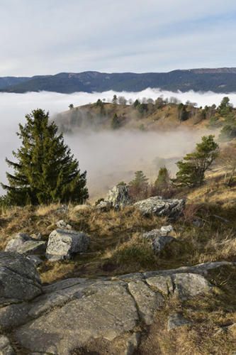 Près-du-Glasborn  JEC4418