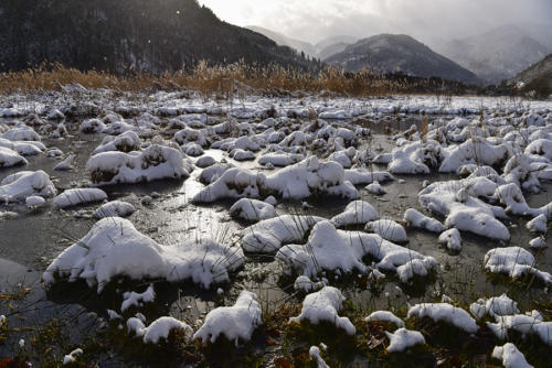 Le-see-d'Urbes   JEA6941