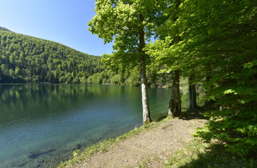 Le-lac-du-Ballon   JEC6589