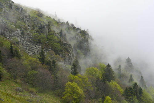 Les-pentes-du-Petit-Hohneck   JPY4090