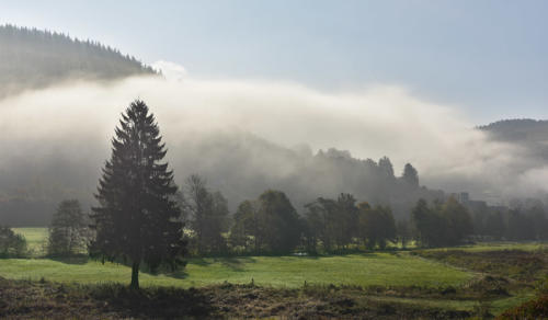  Aux-abords-de-Fouday   JEC2282