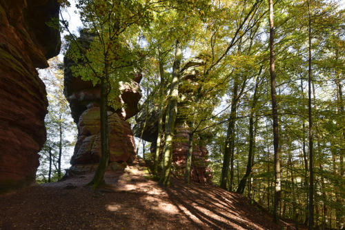 L'Altschlossfelsen 2   JEC3313