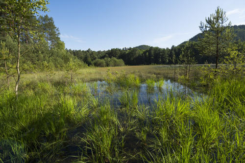 L'étang-de-Waldeck   JEB6475