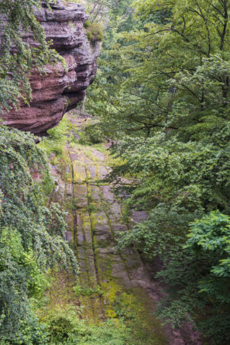 La-voie-antique-du-col-de-Saverne 1   JEB6125