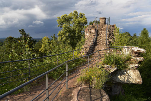 Le-Falkenstein 1   JEB6202 1