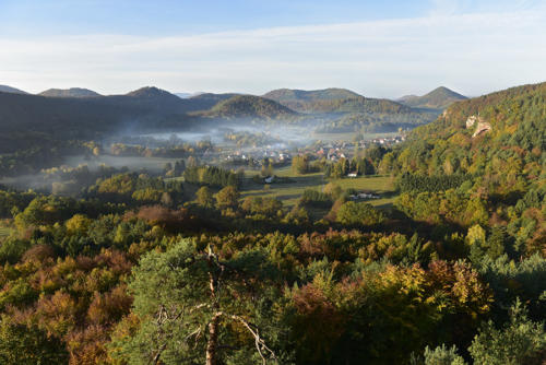 Obersteinbach   JEC3393