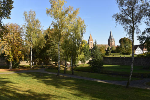 Wissembourg   JEC3134