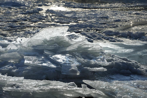 La-débâcle-sur-l'Ill   JPZ0823