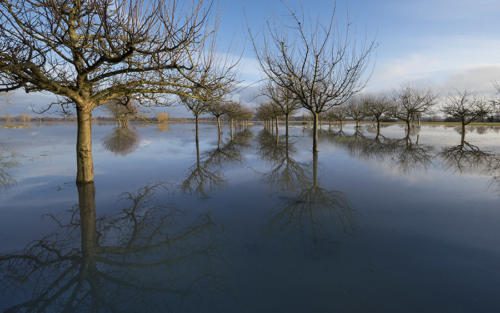 Vergers-innondés  JED4527