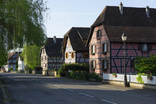 Grenzingen   JEB1231