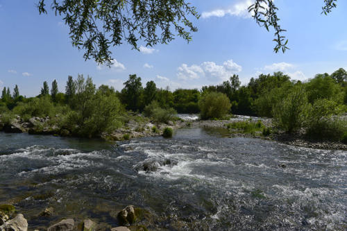 La-Barre-d'Istein-sur-le-Rhin 1   JEB1453
