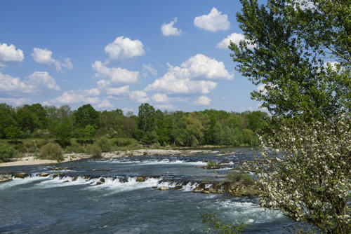 09 La-Barre-d'Istein-sur-le-Rhin 2   JEB1465