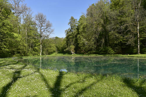 L'étang-du-Mannlefelsen-à-Oberlarg   JEB1383