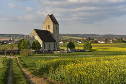 La-Chapelle-Saint-Martin-des-Champs-à-Oltingue   JEC6187