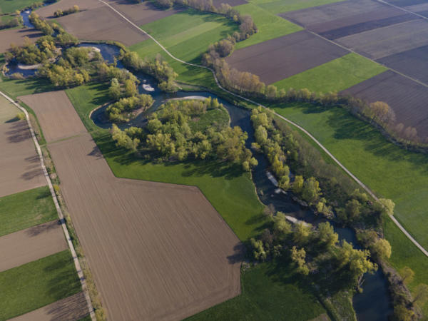 Méandres-de-l'Ill-1   DJI 0820