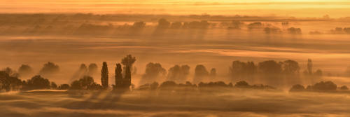 Aurore-dorée-sur-la-plaine-d'Alsace   JED2384à86b