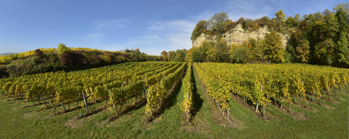 Carrière-royale-de-Soultz-les-Bains   JEC2679à82