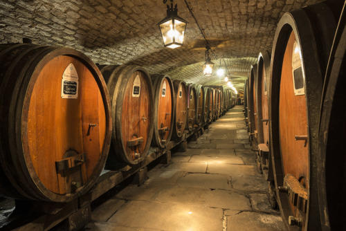 Cave-des-hospices-de-Strasbourg   JEC2875