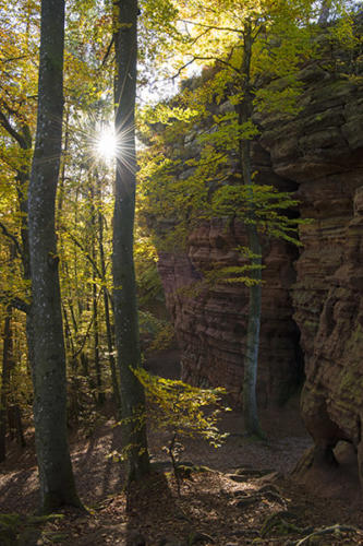 L'Altschlossfelsen 1    JEC3329