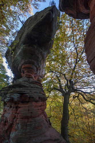 L'Altschlossfelsen  2  JEC3337