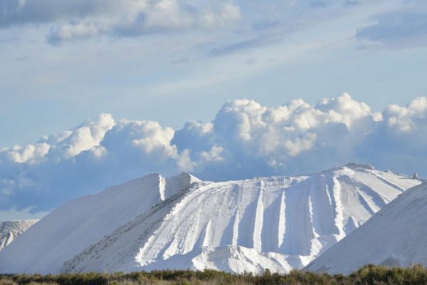 Les-Salins-du-midi 2   JJN9516
