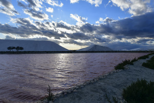 Les-Salins-du-midi 4   JJN9534
