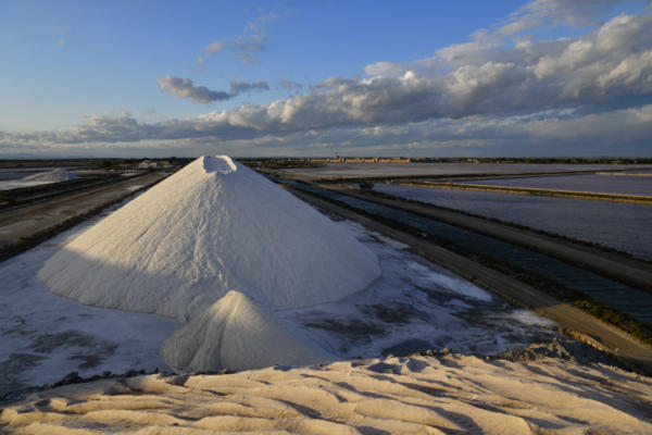 Les-Salins-du-midi 1   JJN9580