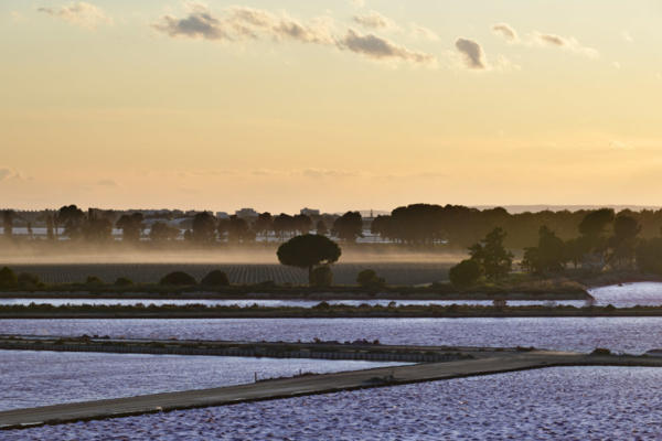 Les-Salins-du-midi 5   JJN9595