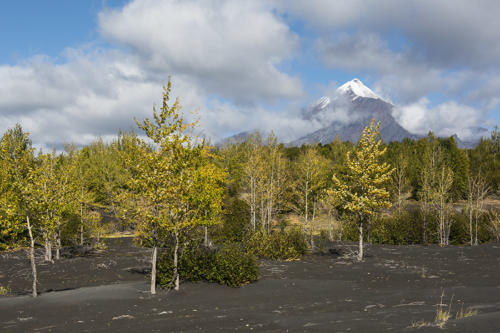 Approche-du-Tolbatchik   JPJ3920  