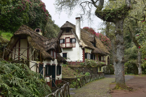Parc-des-Queimadas   JEA3060