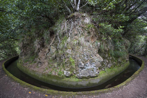 En-longeant-une-levada   JEA386