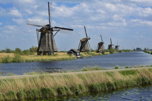 kinderdijk 1   JJA9218